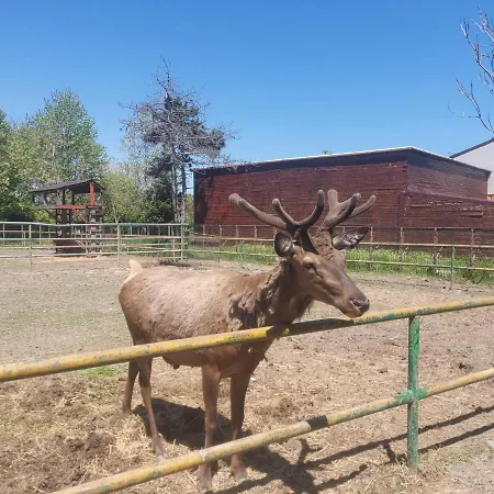 On The Wave Appartement *