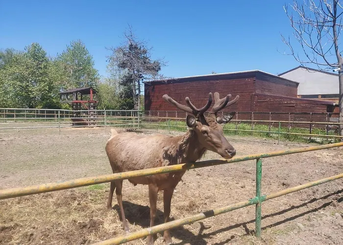 On The Wave アパート *